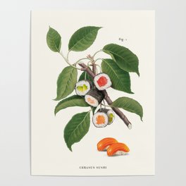 Sushi Plant Poster