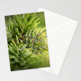 Green christmas tree Stationery Card