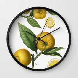 Clusters Of Citrus by Pierre-Joseph Redouté Wall Clock | Nature, Fruit, Vintage, Artwork, Yellow, Painter, Citrus, Retro, Fresh, Art 