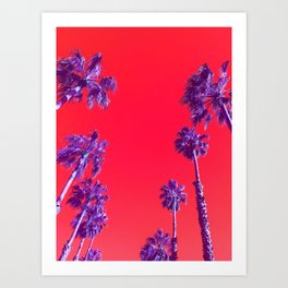Infrared Palm Trees Art Print