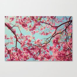 Spring Sky Canvas Print