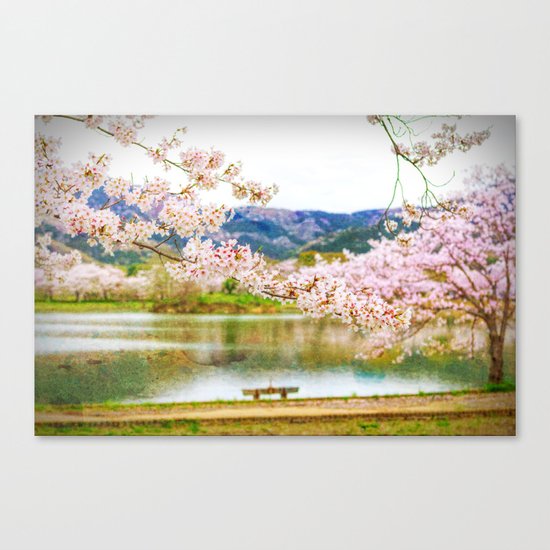 Beautiful cherry blossom and pond 2 Canvas Print