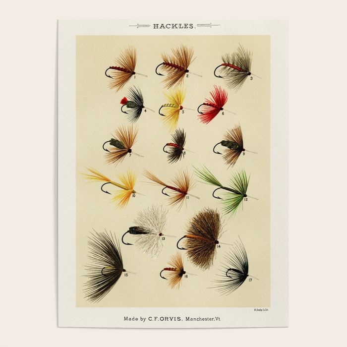 Illustrated Feather Hackles Fishing Flies Chart from Favorite Flies and
