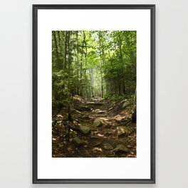 Forest Hike Framed Art Print