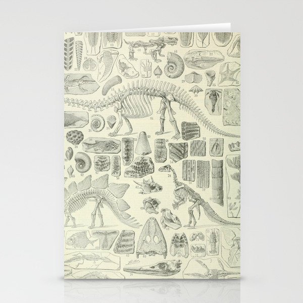 Fossil Chart Stationery Cards by bluespecsstudio | Society6