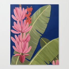 pink bananada Canvas Print
