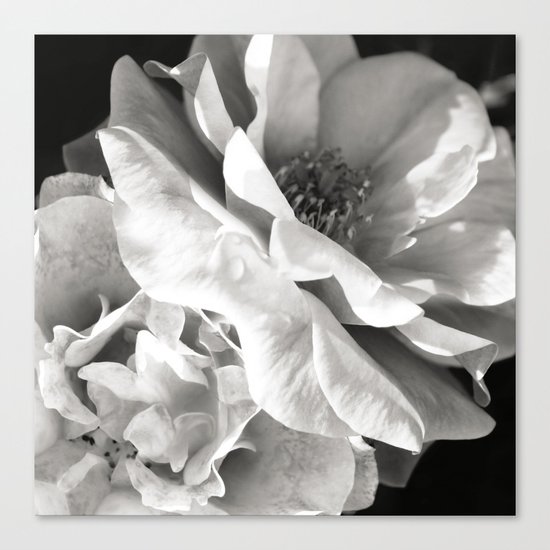 Essence Canvas Print