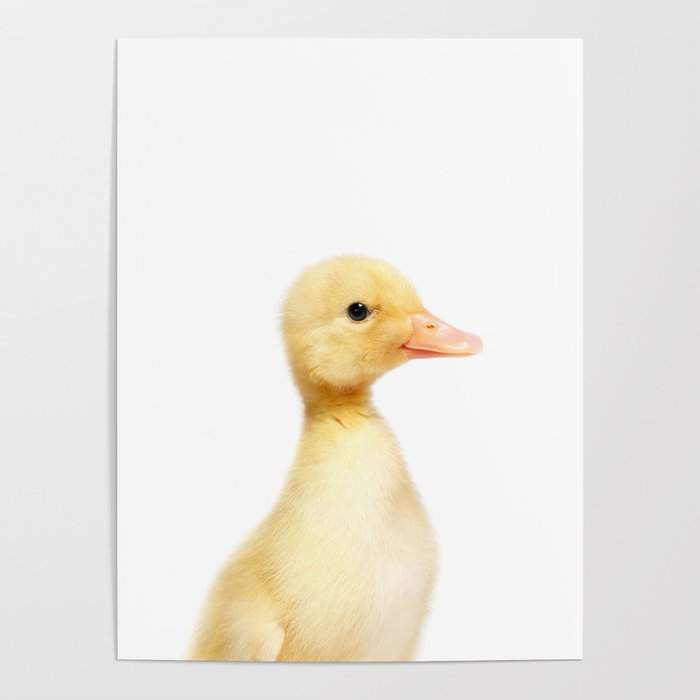 Duckling, Farm Animals, Art for Kids, Baby Animals Art Print By Synplus Poster by synplus Society6