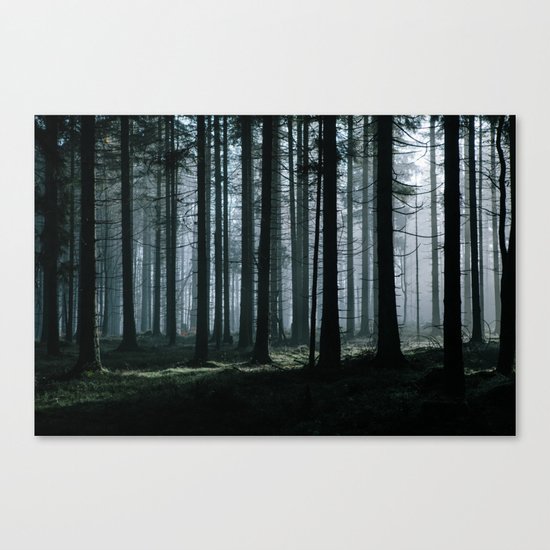 Mystery forest Canvas Print