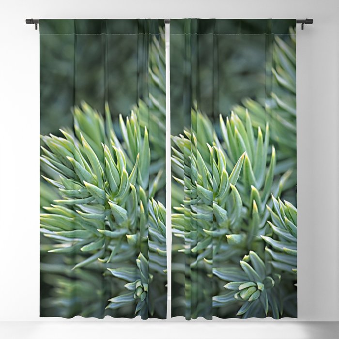 Green christmas tree Blackout Curtain