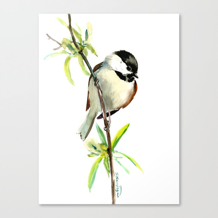 Chickadee on Willow, minimalist bird artwork chickadee painting Canvas Print