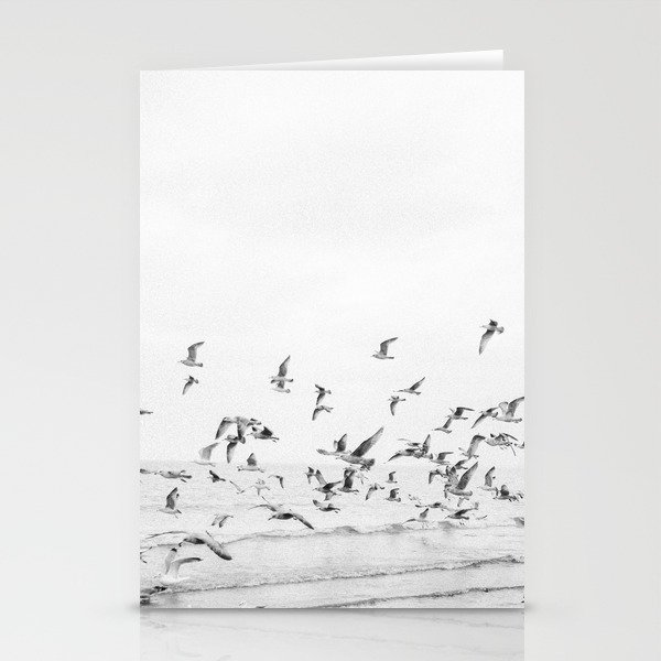 "Seagulls" | Coastal black and white photo | Film photography | Beach Stationery Cards