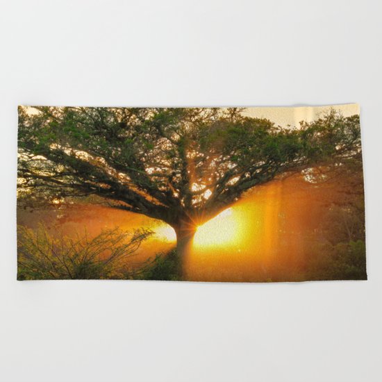 The Rebirth of Light Beach Towel