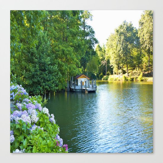 naturel new Canvas Print