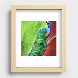 Lucky Peacock Recessed Framed Print