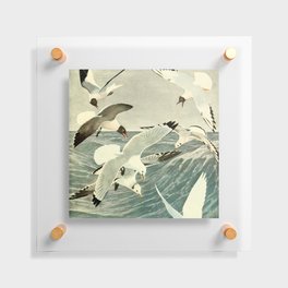 Seagulls Floating Acrylic Print