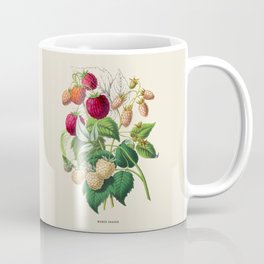 Raspberry Antique Botanical Illustration Coffee Mug
