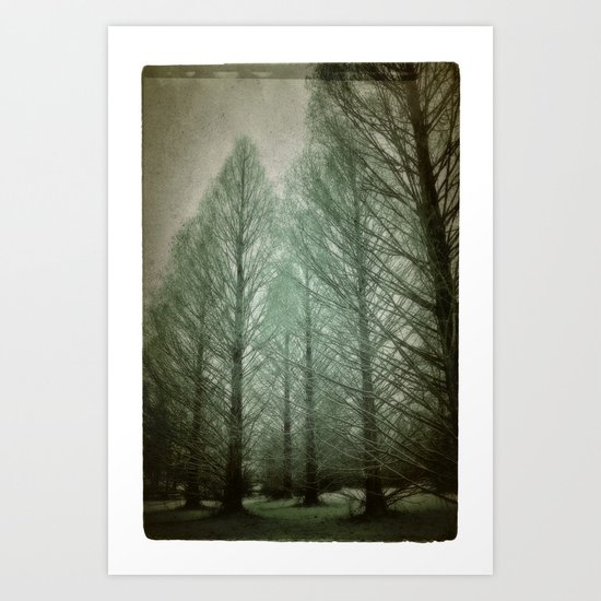 winter dream Art Print