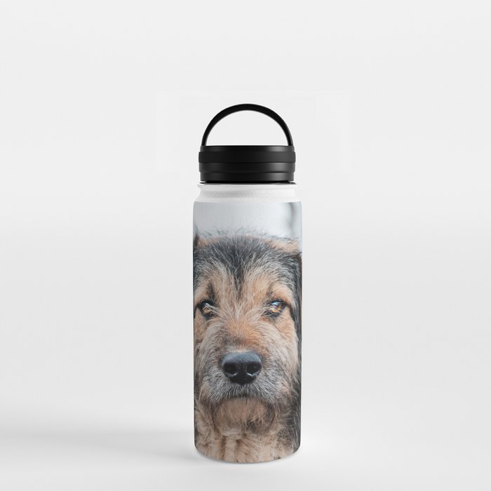 Beautiful Dog Water Bottle