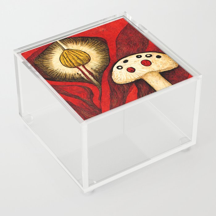 Mushroom Assembly Acrylic Box