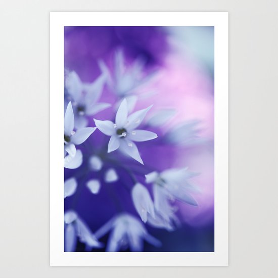 Dusky Violet Art Print