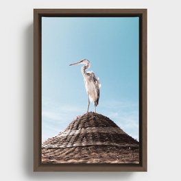 Grey Heron Framed Canvas