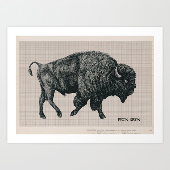 Bison Bison Art Print