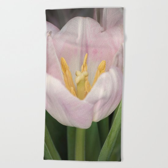 Pink Tulip #2 Beach Towel