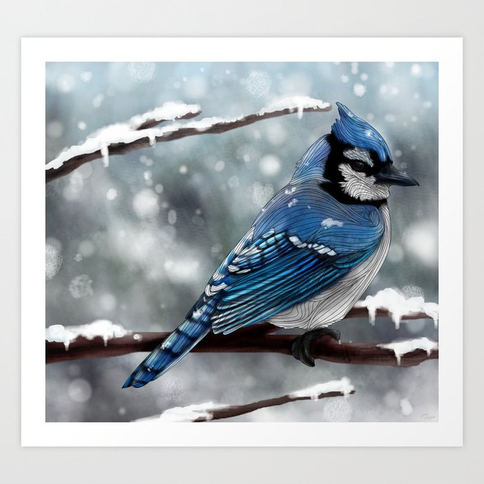 Cute Blue Jay Throws Photographer a Come Hither Look Art Print