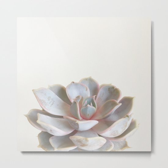 Pink Succulent Metal Print