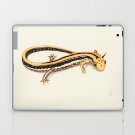 Salamander Laptop & iPad Skin