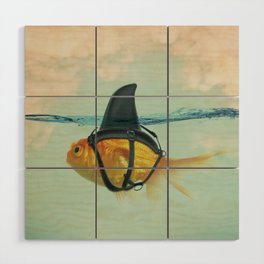 Brilliant DISGUISE - Goldfish with a Shark Fin Wood Wall Art