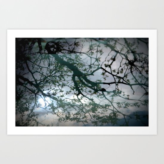 tree mystery Art Print