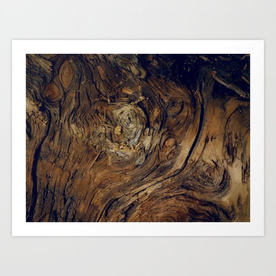 Bark Patterns Art Print