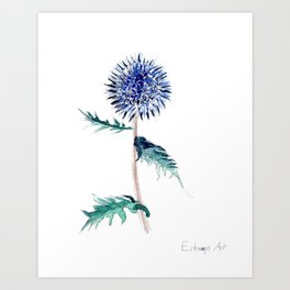 Echinops Art Print | Echinops, Watercolor, Flower, Thistle, Botanic, Painting 