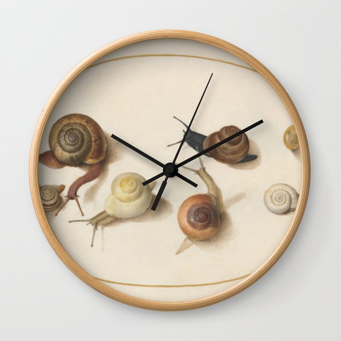 Naturalist Snails Wall Clock