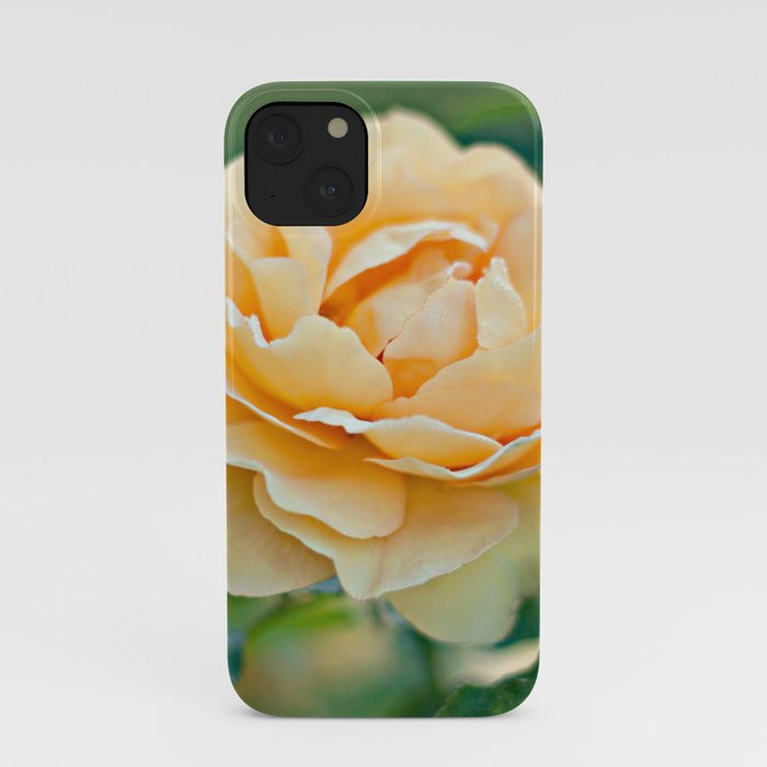 Little Rose iPhone Case