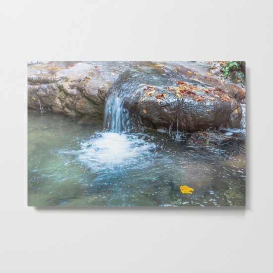 Fall Metal Print