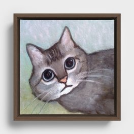 Abu Meow Meow Framed Canvas