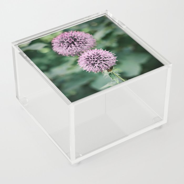 A little Bee on a purple flower on a Summer day | Nature Photography | Fine Art Photo Print Acrylic Box