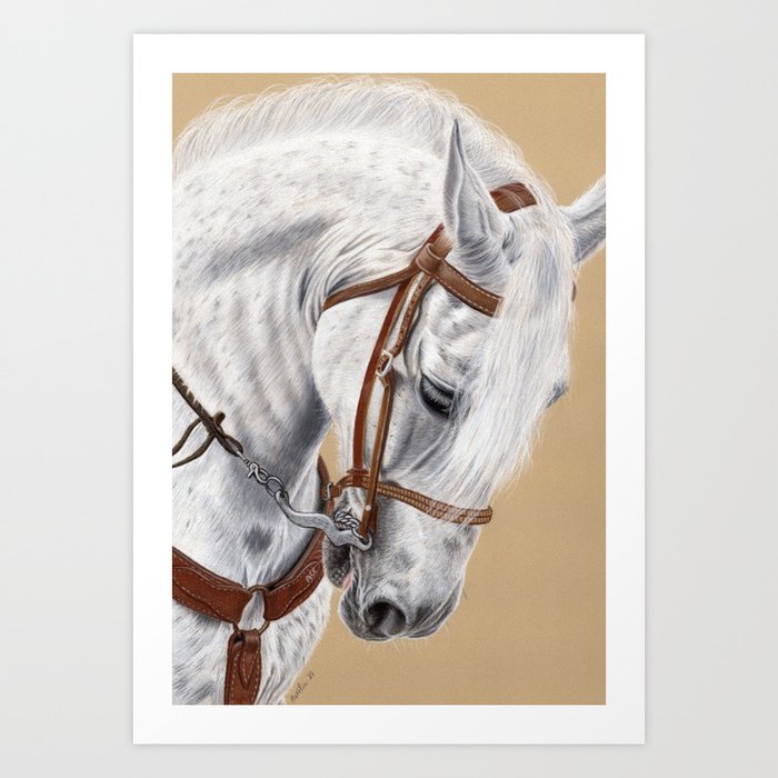 Horse Portrait 01 Art Print