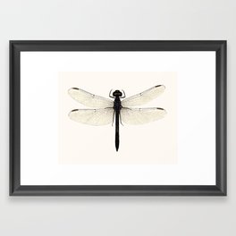 dragonfly #5 Framed Art Print