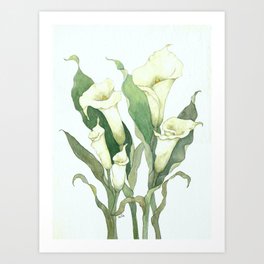 Calla Lily Art Prints For Any Decor Style Society6