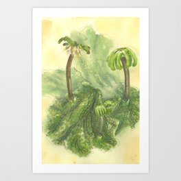 Life Stages - botanical, plant, liverwort, Marchantia Art Print