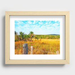 Palm trees Recessed Framed Print
