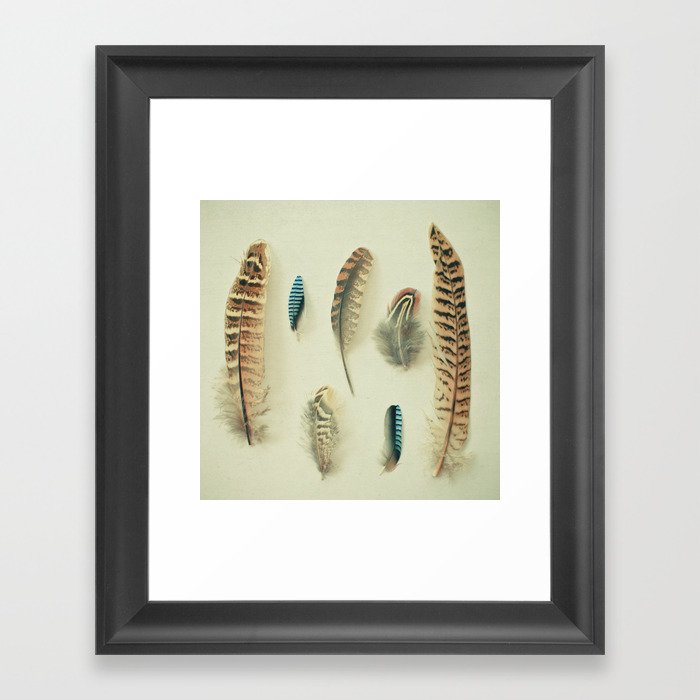 The Feather Collection Framed Art Print