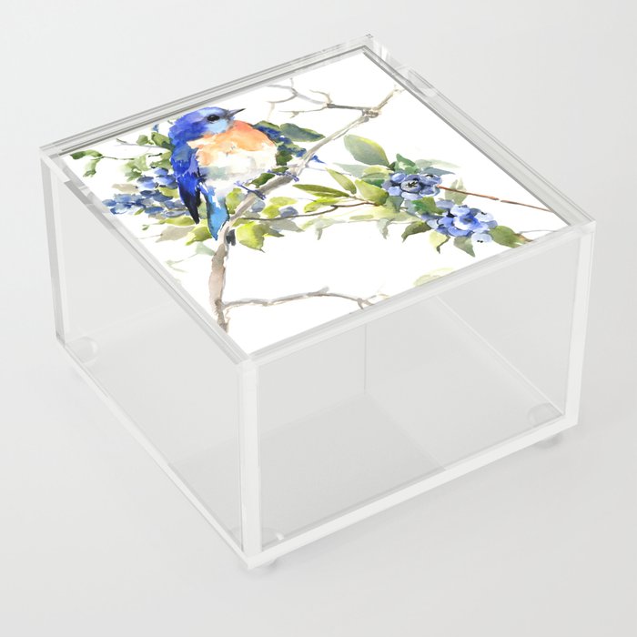 Bluebird and Blueberry Acrylic Box