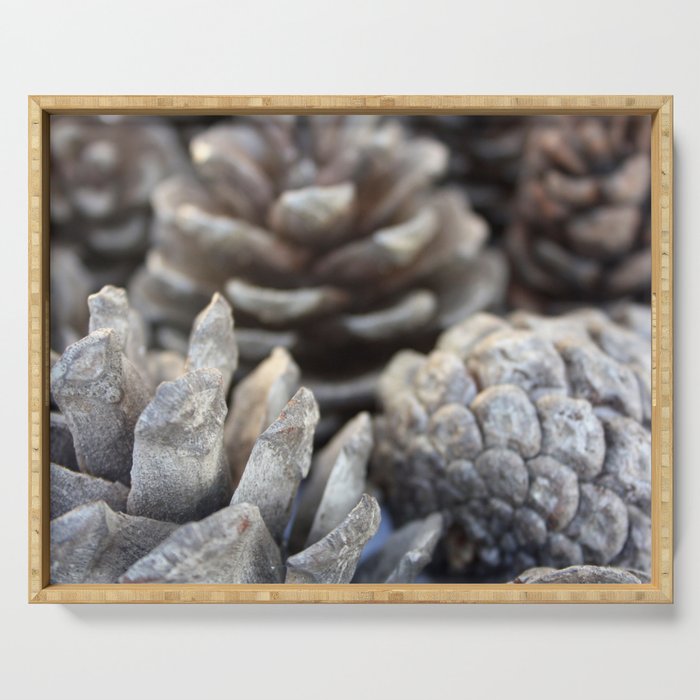 Pine Cones Everywhere Close Up Photograph Serving Tray