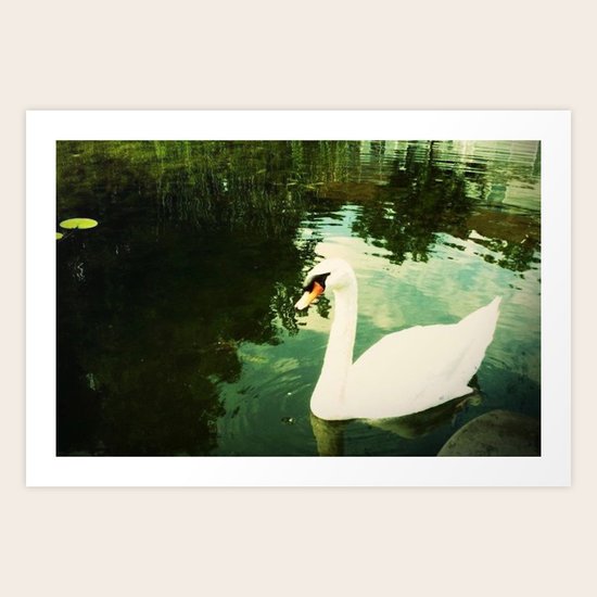 Swan Lake Art Print