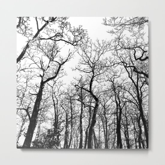 The Dark Forest Metal Print